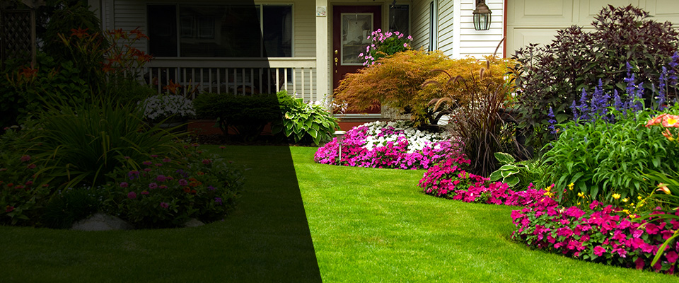 Cleves Landscapers