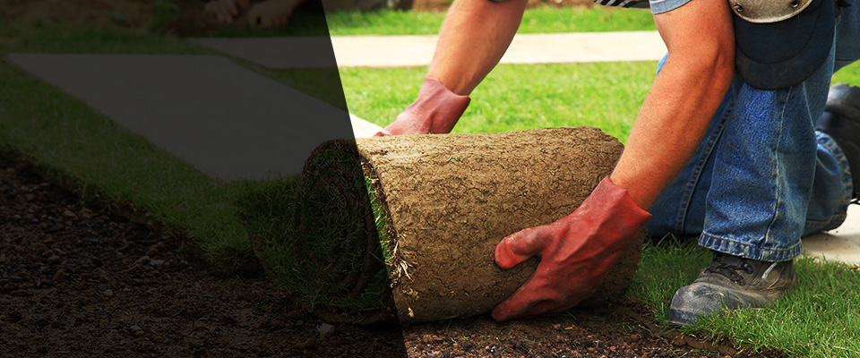 Cleves Landscapers